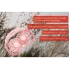 Unold Nackenventilator Breezy Pink, Pink, 2 Lüfter, 8 h, Nackenventilator, Weiß, 1 Stück