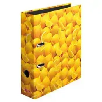 Ringbuch Herlitz 10546901 A4 Mehrfarbig