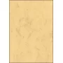 Kunstdruckpapier Sigel DP262 100 Blatt Beige 90 g/m²