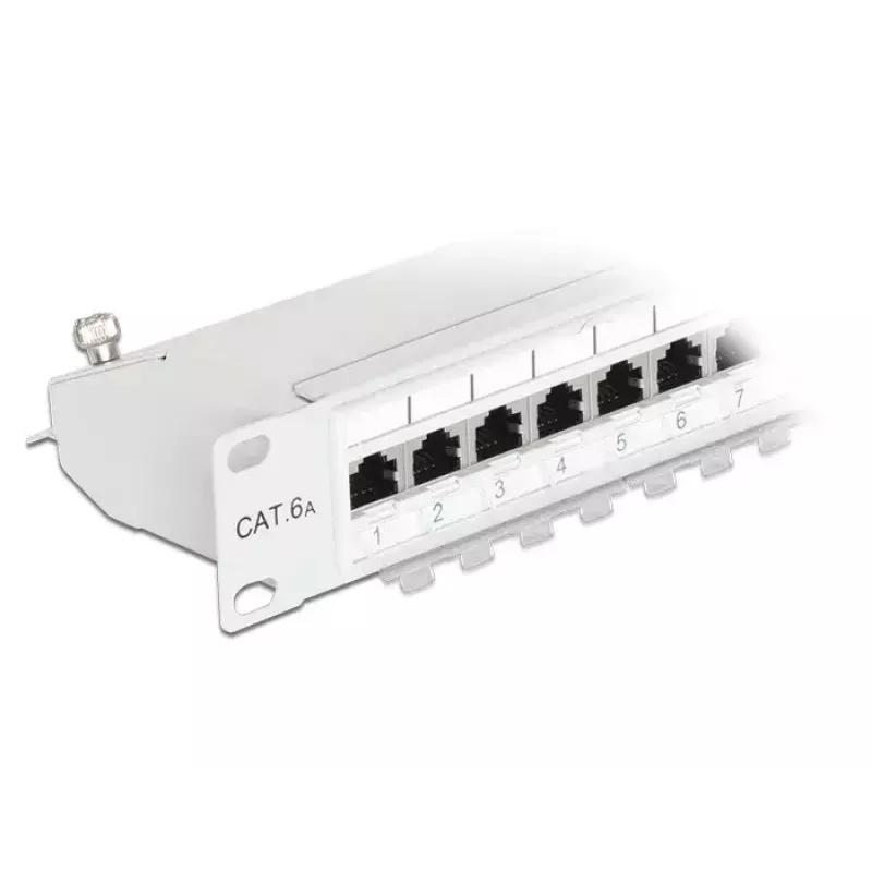 Patchpanel 1U DeLOCK 43319