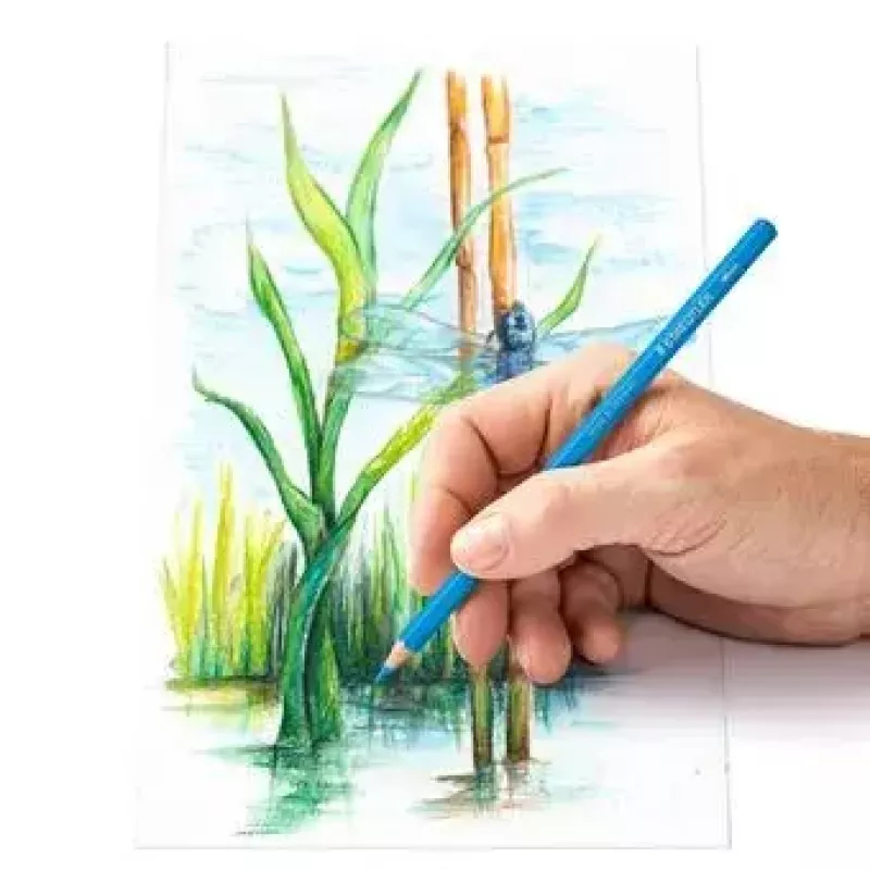 Staedtler Design Journey Aquarellstifte, 24 Stück im Metalletui (14610C M24)