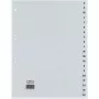 Rexel PP-Register, grau, alphabetisch, Alphabetisches Tab-Register, Polypropylen (PP), Grau, A4+, 246 mm, 297 mm