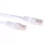 ACT Weiß 2 Meter U/UTP CAT6 Patchkabel mit RJ45-Steckern