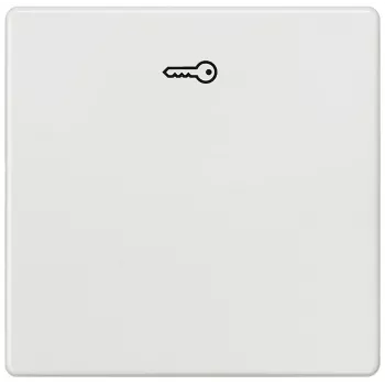 Siemens 5TG6208 Wandeinsatz/Schalterabdeckung Mehrfarbig