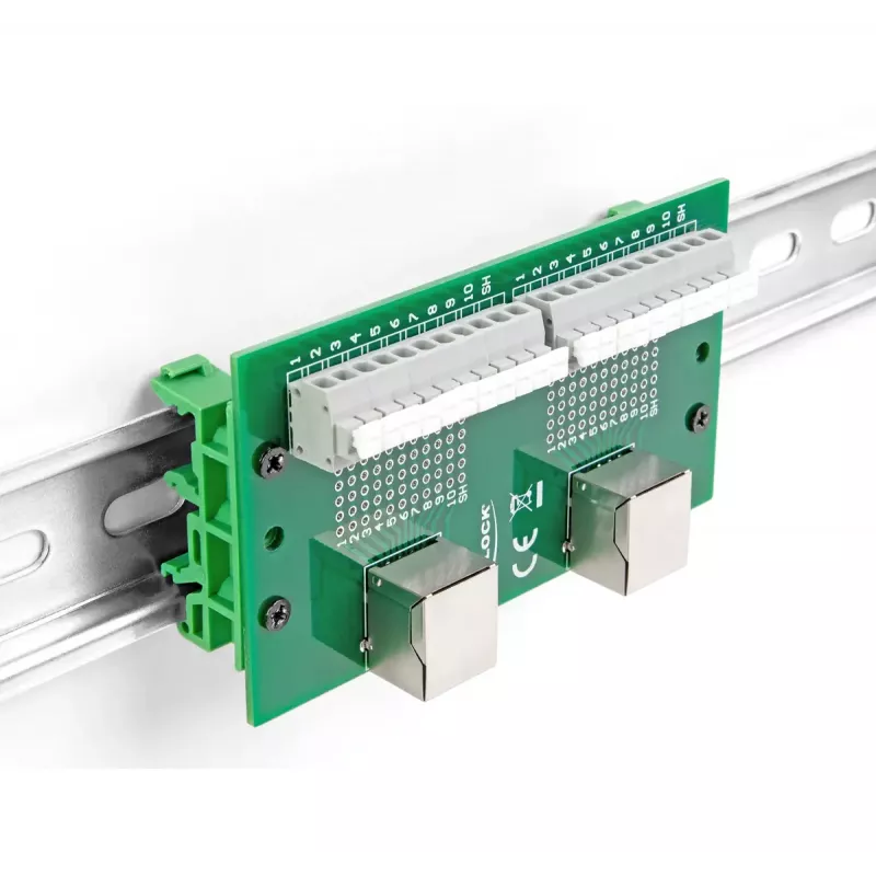 DeLOCK RJ50 2 x Buchse auf 2 x Reihenklemme mit Druckknopf für DIN-Schiene