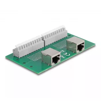 DeLOCK RJ50 2 x Buchse auf 2 x Reihenklemme mit Druckknopf für DIN-Schiene