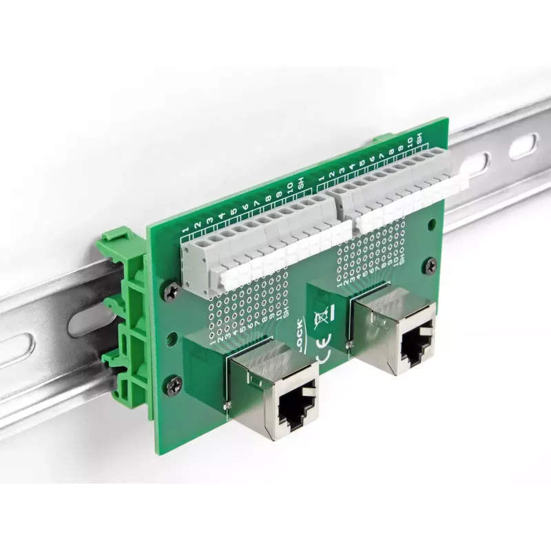 DeLOCK RJ50 2 x Buchse auf 2 x Klemmenblock mit Druckknopf für DIN-Schiene abgewinkelt