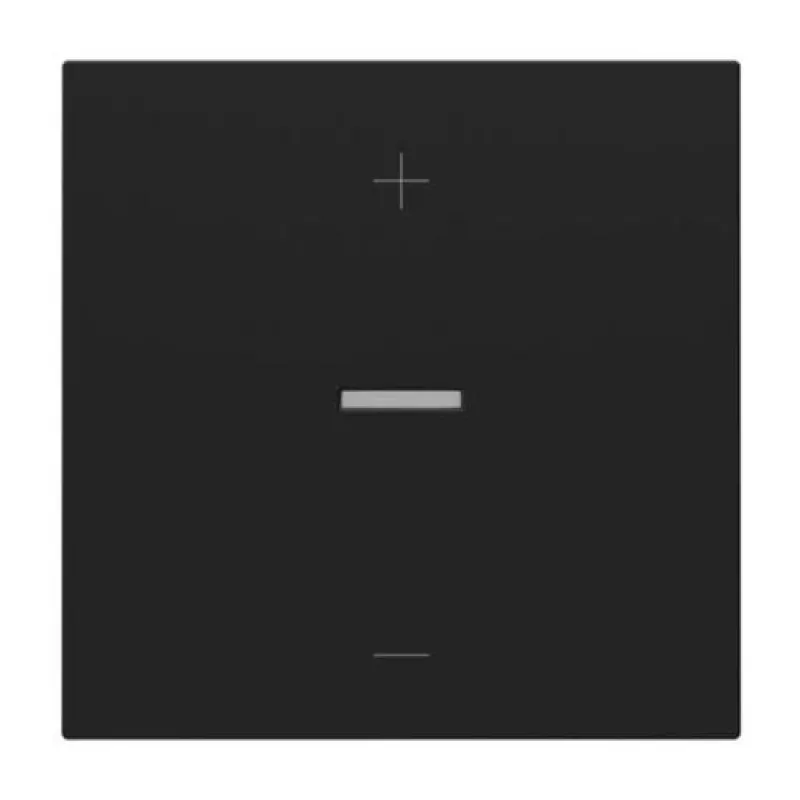 Legrand 765349 Wandplatte/Schalterabdeckung Schwarz