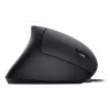 Equip 245118 Maus Universal Rechtshänder USB Typ-A Optisch 3200 DPI