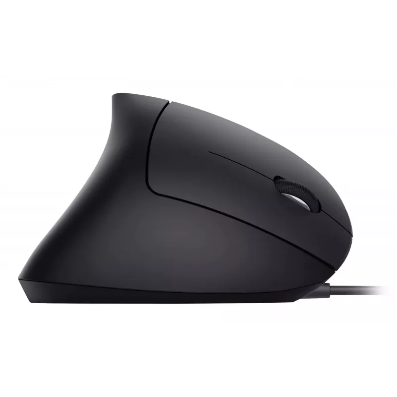 Equip 245118 Maus Universal Rechtshänder USB Typ-A Optisch 3200 DPI