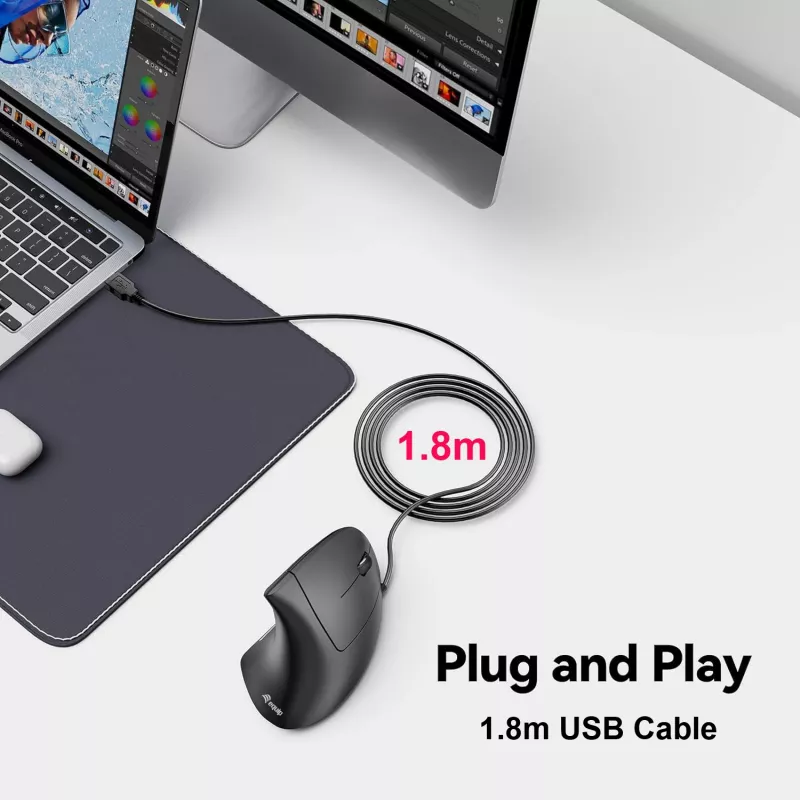Equip 245118 Maus Universal Rechtshänder USB Typ-A Optisch 3200 DPI