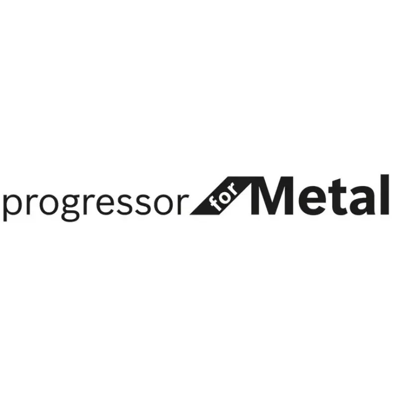 Bosch S 123 XF Progressor for Metal Säbelsägeblätter