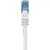 Netzwerkkabel Renkforce RF-3829272 20m Cat6a S/FTP