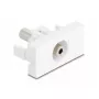 Buchsenleiste DeLOCK 90848 2 x 3,5 mm Stecker Weiß