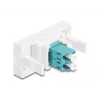 Glasfaser-Adapter DeLOCK 90845 LC Multimode 1 Stück Aqua-Farbe Weiß