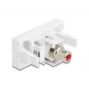 DeLOCK 90857 Keystone-Modul Cinch Rot Weiß 22,5 mm 45 mm 33 mm