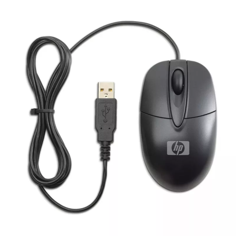 HP RH304AA Maus Office Beidhändig USB Typ-A Optisch
