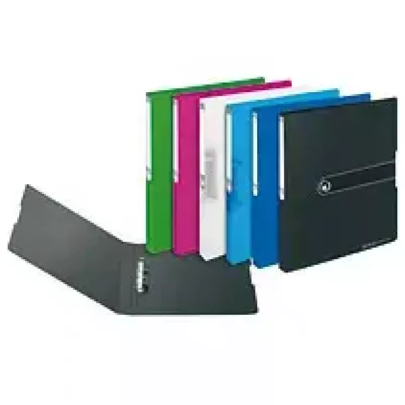 Ringbuch Herlitz 11205713 A4 Schwarz