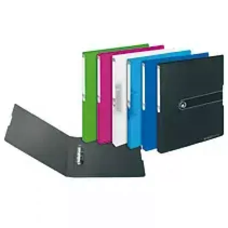 Ringbuch Herlitz 11226370 A4 Grün