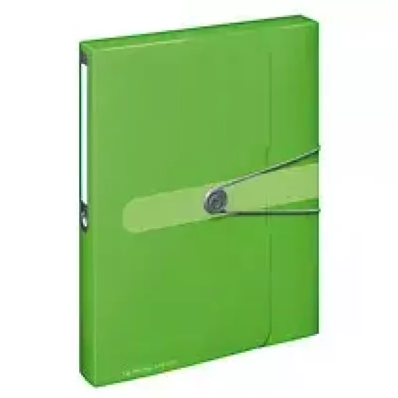 Folder Herlitz 11206133 Polypropylen (PP) Grün A4