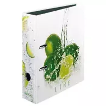 Ringbuch Herlitz 11306008 Mehrfarbig