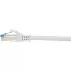 Netzwerkkabel Renkforce RF-4145283 1m Cat6a S/FTP