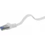 Netzwerkkabel Renkforce RF-4149840 Cat6a U/FTP 1m Grau