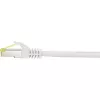 Netzwerkkabel Renkforce RF-4149864 Cat6a 1m Grau