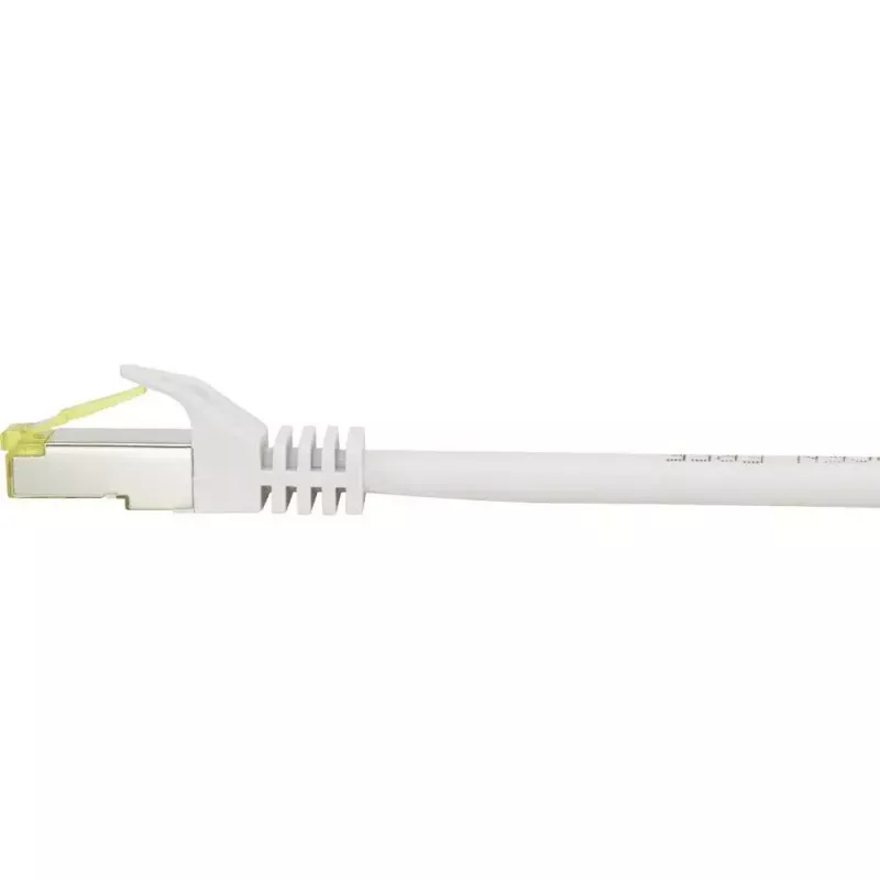 Netzwerkkabel Renkforce RF-4149864 Cat6a 1m Grau