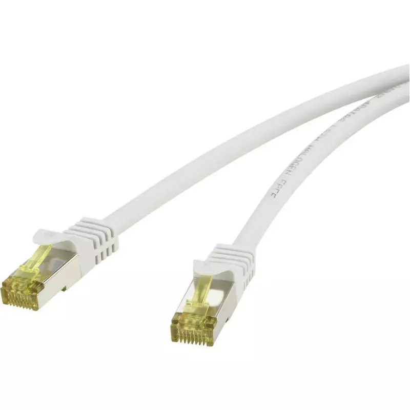 Netzwerkkabel Renkforce RF-4149864 Cat6a 1m Grau