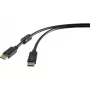 DisplayPort-Kabel Renkforce RF-4212204 3 m Schwarz