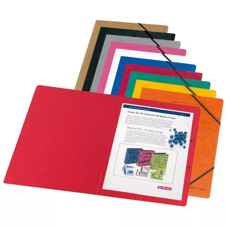 Sammelmappe Karton sortierte Farben A4 Herlitz 11166816