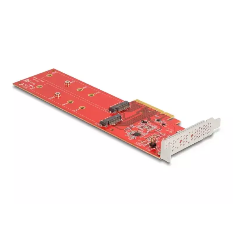 DeLOCK PCI Express x8 Karte auf 2 x interne NVMe M.2 Key M 110 mm Bifurcation Low Profile