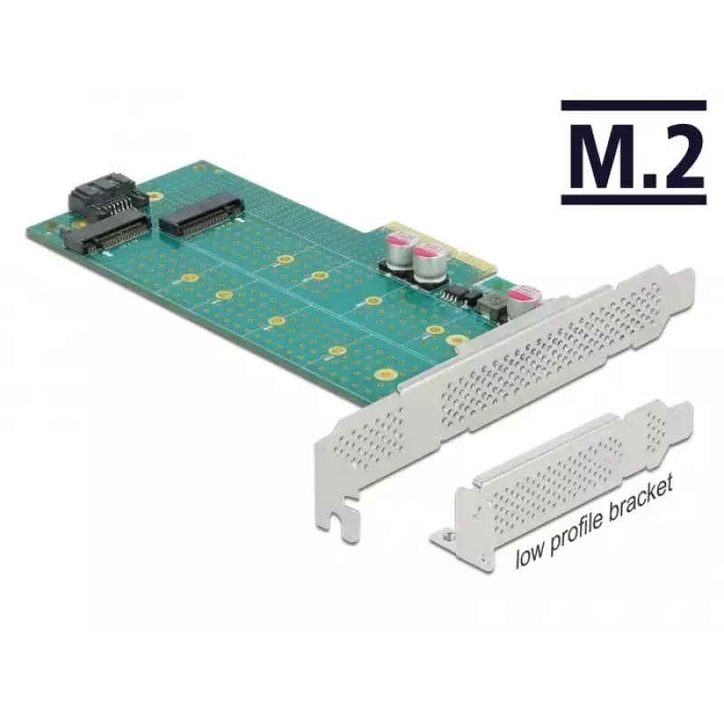 Erweiterungskarte DeLOCK PCI Express x4 auf M.2 Key B + M - Low-Profile