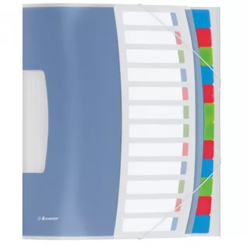 Esselte 624030 Register, 266 mm, 20 mm, 370 g, blau, mehrfarbig