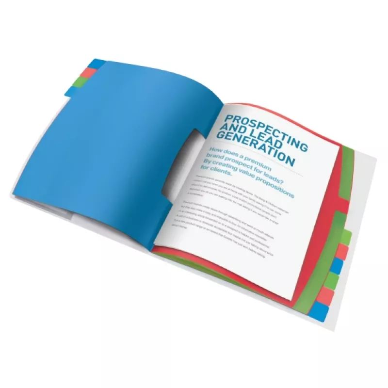 Esselte Divider Book Vivida PP 12 tabs, Blau, Mehrfarbig, Polyvinylchlorid (PVC), A4, 266 mm, 20 mm, 320 mm