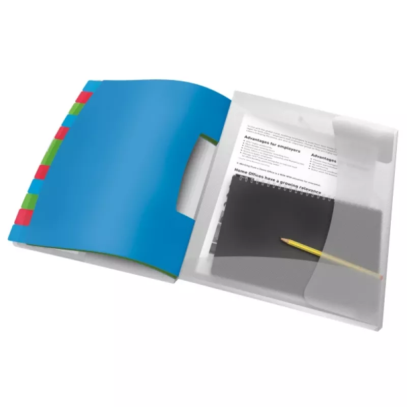 Esselte Divider Book Vivida PP 12 tabs, Blau, Mehrfarbig, Polyvinylchlorid (PVC), A4, 266 mm, 20 mm, 320 mm