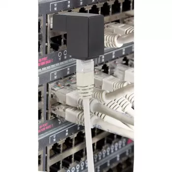 Kabeladapter Renkforce RF-4087416
