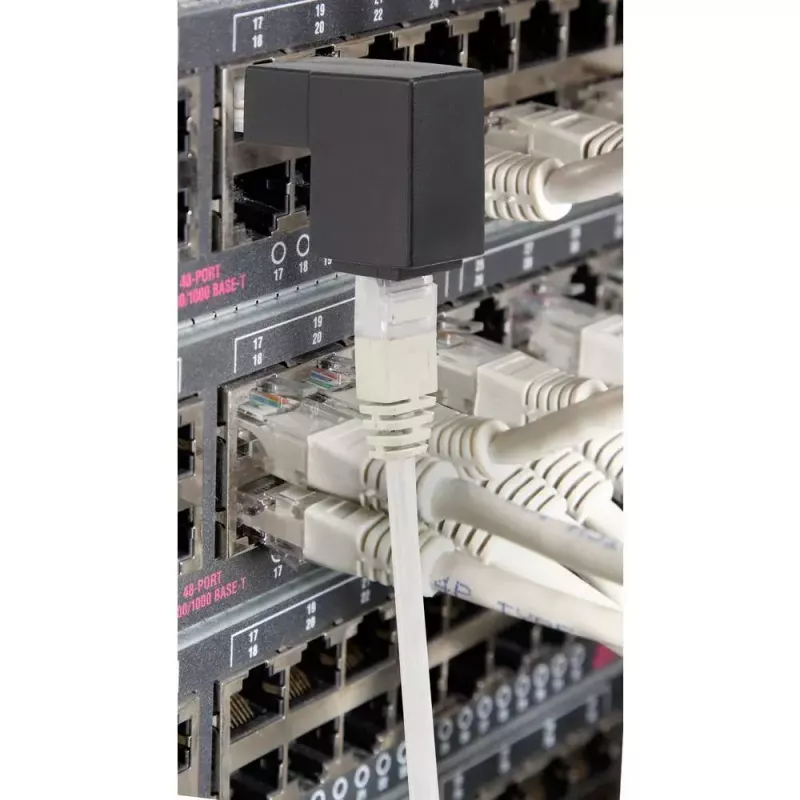 Kabeladapter Renkforce RF-4087416