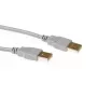 USB 2.0 A Stecker - USB A Stecker elfenbein 3,00 m ACT SB2503