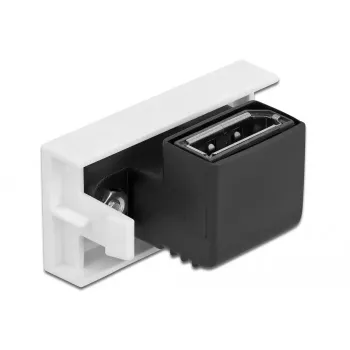 DisplayPort-Modul DeLOCK Easy 45 81306