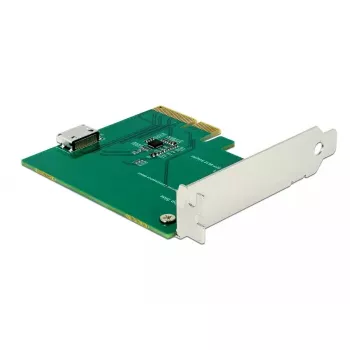 Schnittstellenkarte DeLOCK 90307