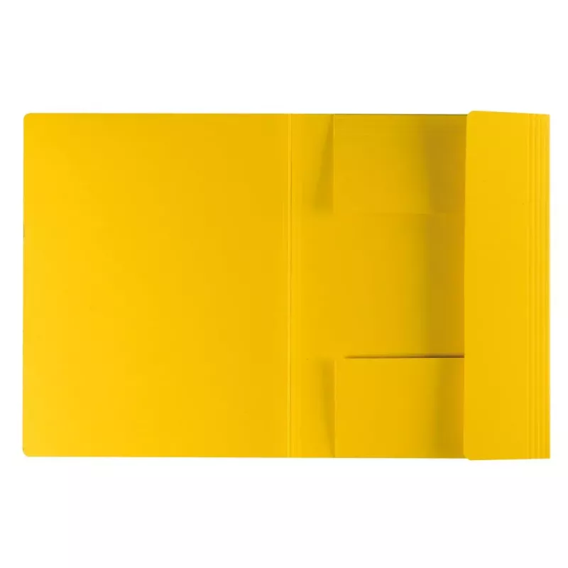 Pappordner Herlitz 11076437