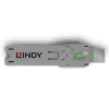 Lindy USB Typ-A Port-Blocker-Schlüssel, Grün