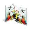 Konventionelle Dokumentenmappe HERMA Tropical Clique