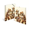 Herkömmliche Sammelmappe HERMA Giraffe Friends Polypropylen A3