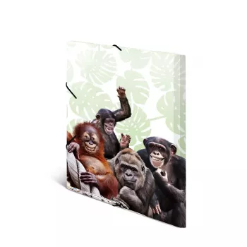 Konventionelle Sammelmappe HERMA Monkey Gang Polypropylen A3