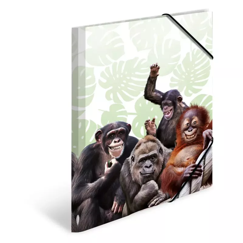 Konventionelle Sammelmappe HERMA Monkey Gang Polypropylen A3