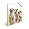 Konventionelle Sammelmappe HERMA Erdmännchen-Clique