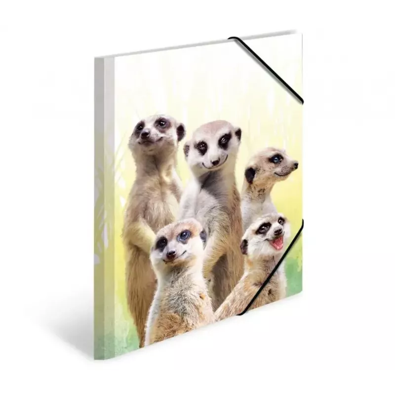 Konventionelle Sammelmappe HERMA Erdmännchen-Clique